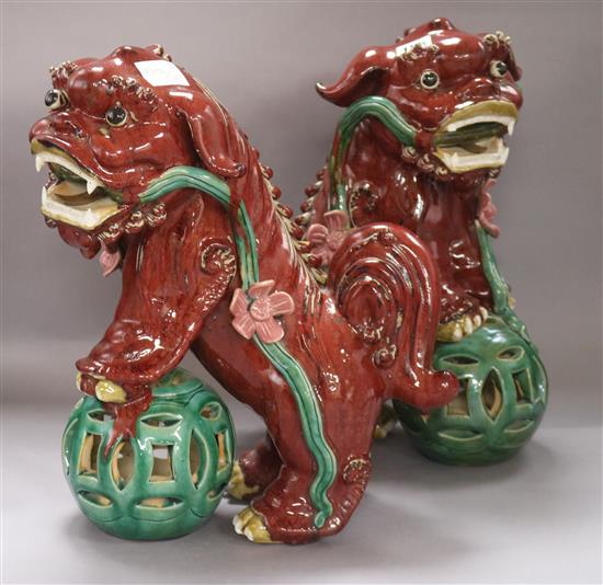 Two modern Chinese models of dogs of fo tallest 47cm